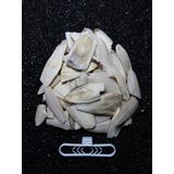 Petistera 2. Kalite Kırık Kalamar Kemiği 100 gr + Tutacak