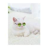 Petistera Kedi Gözlüğü 7 Cm - Yeşil