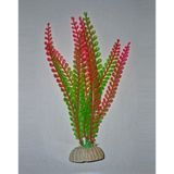 Petistera PB09 Plastik Akvaryum Bitkisi 20 cm