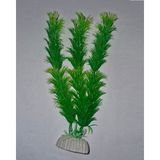 Petistera PB10 Plastik Akvaryum Bitkisi 20 cm
