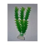 Petistera PB10 Plastik Akvaryum Bitkisi 20 cm
