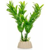 Petistera Plastik Akvaryum Bitkisi 10 cm PB16