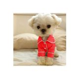 PETITE Köpek Pijamasi Köpek Kıyafeti