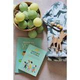 Petite Lime Işıklı Top Aydınlatma