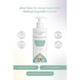 Petitecare Baby & Kids Petıtecare Baby & Kids Bulaşık Deterjanı – Biberon, Emzik ve Mama Kabı Temizleyici, Parfümsüz, Doğal, Bitkisel Kaynaklı, 500 ml