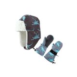 Petityu Su Geçirmez Erkek Çocuk Bere Eldiven Set 2-4 Yaş Kayak Snowboard Gri Mavi Dino, 2-4 Yaş