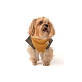 PETİZAN Köpek Fular - Hardal