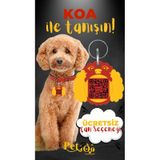 Petjoo 14.Koa Sarı-Kırmızı Qr'lı Köpek Künyesi