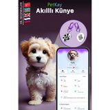 petkay İsimli Köpek Tasması, Akıllı Künye, Nfc Dijital Isimlik Ve Tasma Künyesi Qr Kod Künye P. Çelik Mor