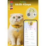 petkay Kediler Için Akıllı Künye, Nfc Dijital Isimlik Ve Tasma Künyesi Qr Kod Künye Paslanmaz Çelik Sarı