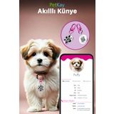 petkay Köpekler Için Akıllı Künye, Nfc Dijital Isimlik Ve Tasma Künyesi Qr Kod Künye Paslanmaz Çelik Pembe