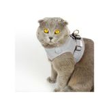 Petköy Kedi Gezdirme Tasması Kedi Göğüs Tasma Seti Yumuşak Süet Kumaş Gri