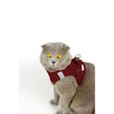 Petköy Kedi Gezdirme Tasması - Kedi Tasması Göğüs Tasma Seti Yumuşak Süet Bordo Renk