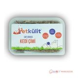 Petkülit Kedi Çimi - Şeffaf
