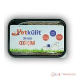 Petkülit Kedi Çimi - Siyah