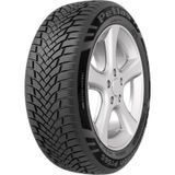 Petlas 225/55 R17 101W Multi Action PT565 Reinf Dört Mevsim Lastiği 2022