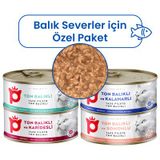 Petlebi Sos İçinde Fileto Etli Özel Balık Serisi Karışık Çeşitli 4x70 gr Kedi Konservesi