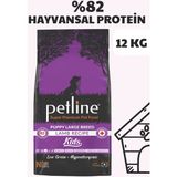Petline Kuzu Etli Yavru Köpek Maması 12KG- Kids - 12 kg