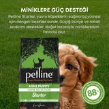 Petline Mini ve Küçük Irklar Için Kuzu Etli Yavru Köpek Maması Başlangıç 6kg (2X3KG) - Starter - 6 kg
