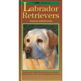 Petlove Guide to Labrador Retrievers