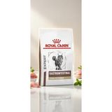 Petneed Royal Canin Gastrointestinal Fibre Response Kümes Hayvanı Tatlı Kedi Maması 2 kg Besleyici Formül