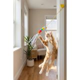 Petolojim Elastik Kendinden Yapışkanlı Renkli Kedi Oyun Oltası Kedi Oyuncağı Yapışkanlı Olta