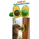 Petolojim2 Adet Ayıcıklı Catnipli Yenilebilir Kedi Nanesi Otu Oyun Topu Oyuncağı Top Oyuncak Kedi Yalama Topu - Avokado - Çok Renkli