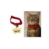 Petölye Kedi Tasması Isimli Tasma Yumuşak,Desenli ve Esnek Künyeli Boyunluk GOLD AYNALI PLEKSİ