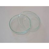 Petri Kabı Cam 60 x 15 MM 1 Adet