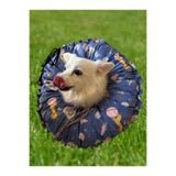 Petris Kedi Köpek Huni Operasyon Boyunluk,Yakalık,Yastık,Elizabeth(XL Dış kenar çapı:45 cm Boyun çapı:35 cm)