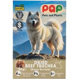 Pets and Plants PAP DANA GIRTLAK SAKAT ET 80 G