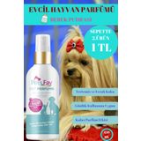 Pets Fav Bebek Pudrası Kokulu Köpek Parfümü Evcil Hayvanlar için Ferah & Kalıcı Koku Giderici