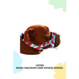 PET'S GO Köpek Ağızlığı LARGE KARPUZ Büyük Irk (L)