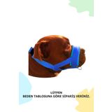 PET'S GO Köpek Ağızlığı LARGE MAVİ Büyük Irk
