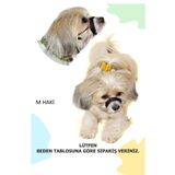 PET'S GO Köpek Ağızlığı Medıum Haki Orta Irk