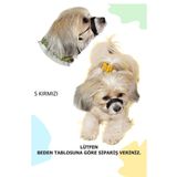 PET'S GO Köpek Ağızlığı Small Kırmızı Küçük Irk