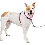 PetSafe 3'ü 1 arada köpek koşum takımı, çekmez, araba kemeri için köpek koşum takımı, köpek koşum takımı, köpek koşum takımı, reflektörler, bulaşık sapı, boyut M, siyah, mavi, mor