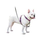 PetSafe 3'ü 1 arada köpek koşum takımı, çekmez, araba kemeri için köpek koşum takımı, köpek koşum takımı, köpek koşum takımı, reflektörler, bulaşık sapı, S beden, siyah, mavi, mor