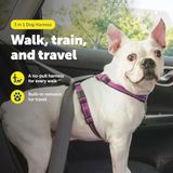 Petsafe 3'Ü 1 Arada Koşum Takımı, Çekmez, Araba Kemeri Için Koşum Takımı, Koşum Takımı, Koşum Takımı, Reflektörler, Bulaşık Sapı, S