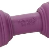 PetSafe Busy Buddy Chuckle atıştırmalık oyuncağı, doldurulabilir köpek oyuncağı, diş bakımı ve çiğneme eğlencesi, BPA içermeyen plastik, lila