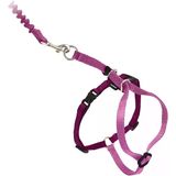 Petsafe Come With Me Kitty Koşum Takımı Bungee Tasma, Kediler Için Koşum, Büyük, Tozlu Gül/Bordo