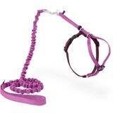 PetSafe Come With Me Kitty Koşum Takımı ve Bungee Tasma, Kediler için Koşum, Büyük, Tozlu Gül/Bordo