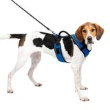 PetSafe Easy Sport™ Harness - Mavi Köpek Tasması Large (71-107 cm)
