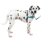 PetSafe Easy Walk Deluxe yemek takımı, köpekler için yırtılmaya dayanıklı koşu takımı, dolgulu tasarım, 1,8 m tasma dahil, büyük okyanus mavisi/siyah