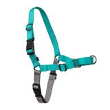 PetSafe Easy Walk No-Pull Köpek Göğüs Tasması, Çekmeyi Önlemeye Yardımcı, Kontrolü Ele Alın ve Tasmayla Daha İyi Yürümeyi Öğretin, Large, Sarımsı turkuaz/gri