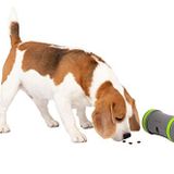 PetSafe Kibble Chase kendiliğinden hareket eden ödül oyuncağı, köpekler için tekerlekli atıştırmalık dağıtıcı, 3 AA pil gereklidir, 1 adet (1'li paket)