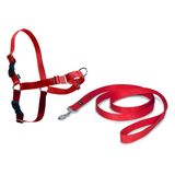 PetSafe Premier Easy Walk köpek koşum takımı, kırmızı, beden L