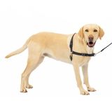 PetSafe Premier Easy Walk köpek koşum takımı, siyah/gri, boyut L