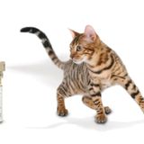 Petsafe Ssscat Otomatik Kedi ve Köpek Uzaklaştırıcı Sprey