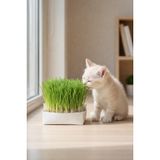 Petscape Doğal Kedi Çimi Fileli (1 Adet)